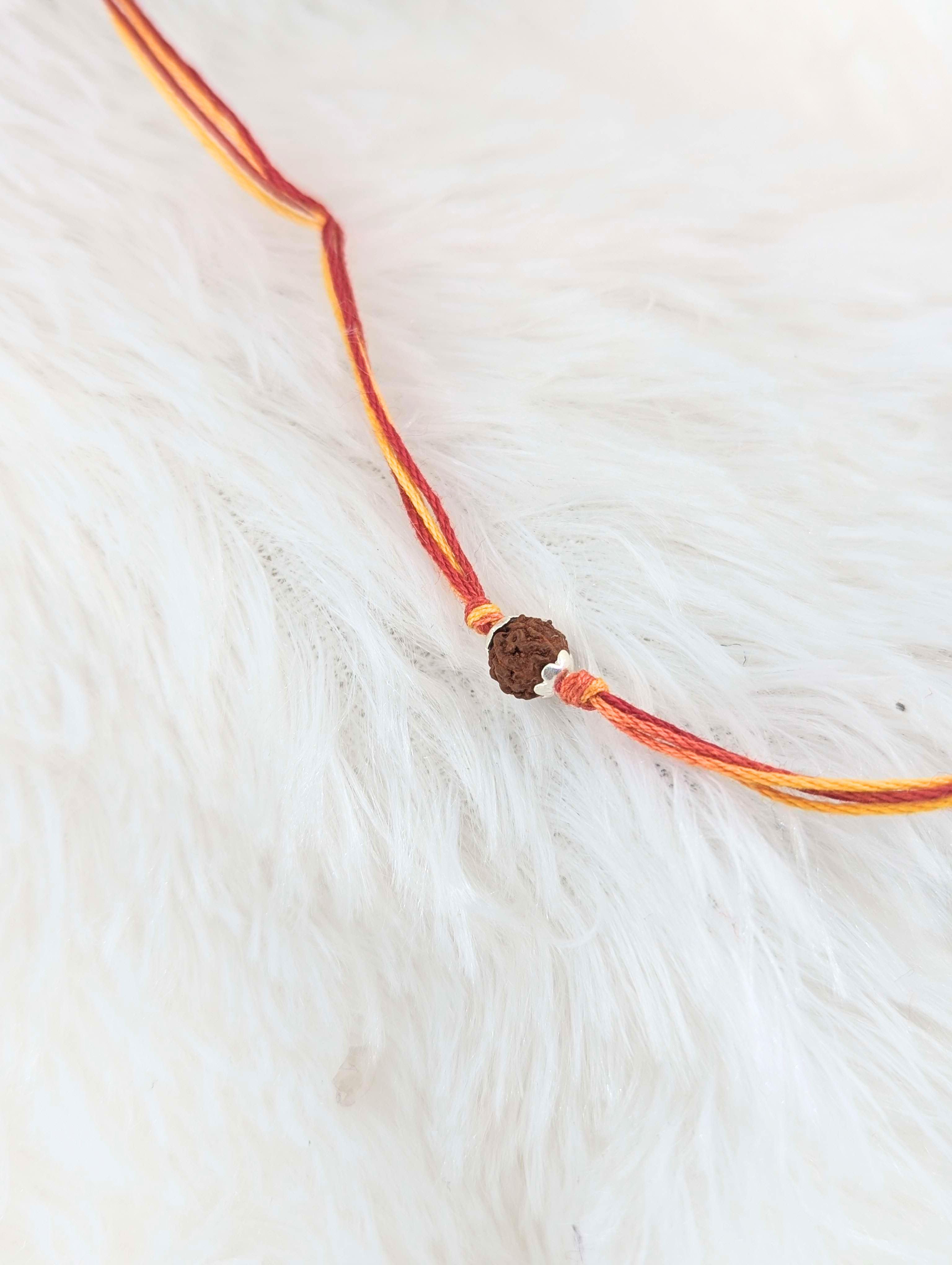 Sacred Rudraksha Threads of Tradition Rakhi