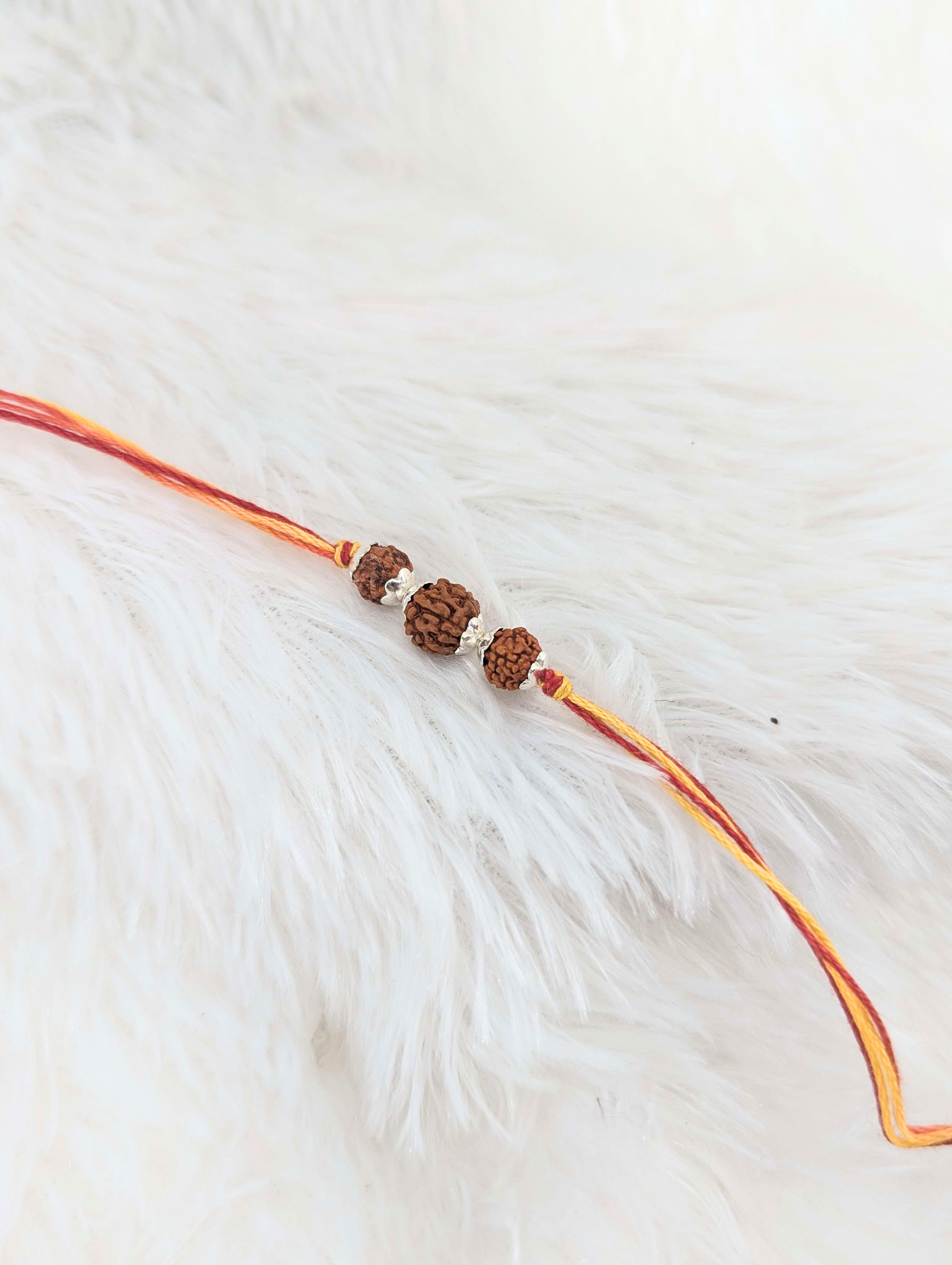 Triple Rudraksha Divine Rakhi