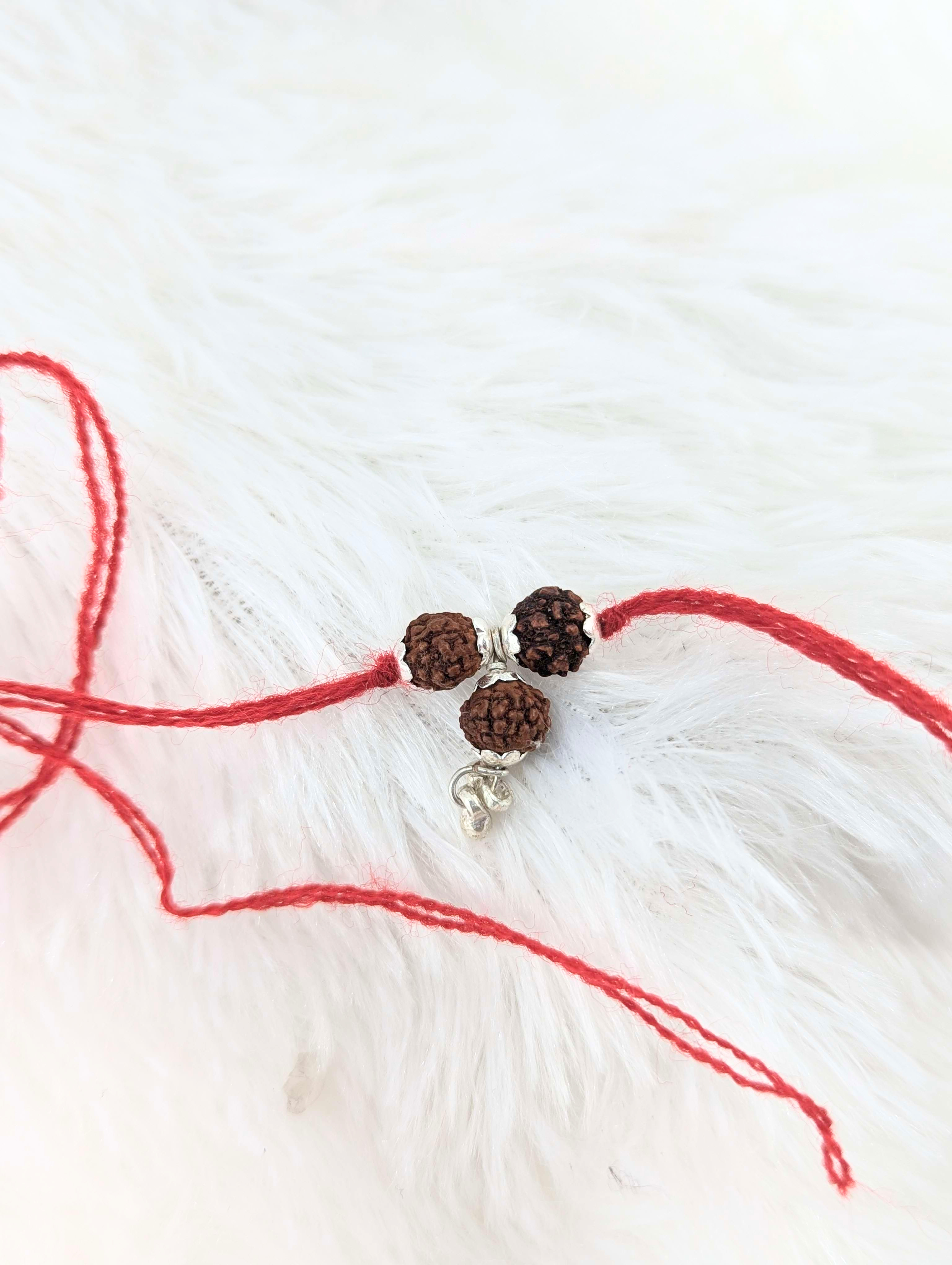 Sacred Rudraksha Trio Sterling Silver Rakhi