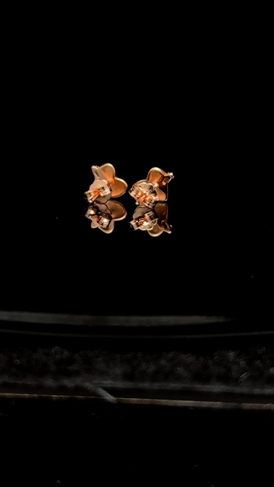 Beige Heart Shell Stud Earrings